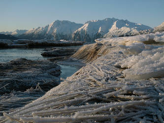 Hoar Frost Morning I