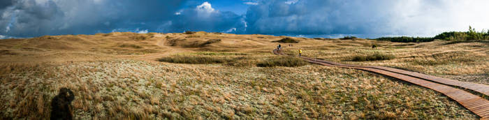 At the bottom of the Dead Dunes