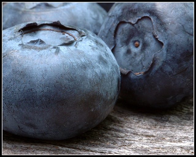 summer blueberries