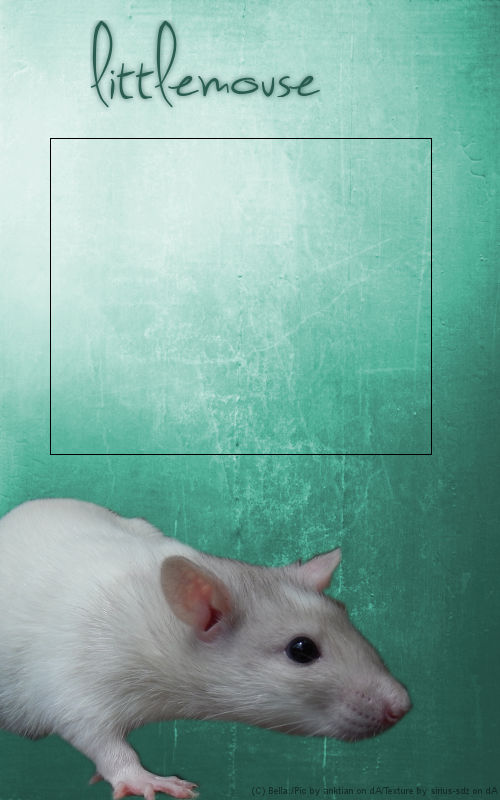 Mouse - Layout by bluemju on DeviantArt