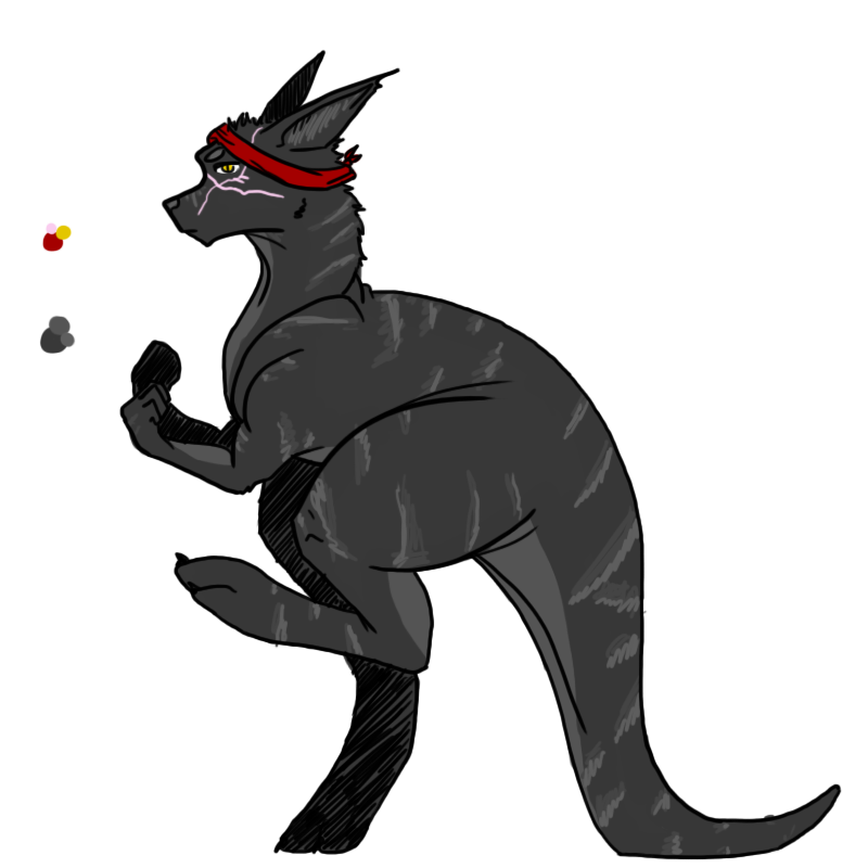 Custom Kangaroo by CreamyGaIaxies on DeviantArt