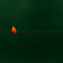 Harbinger
