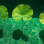Pond Shadows