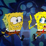 Sponges 99 and 15