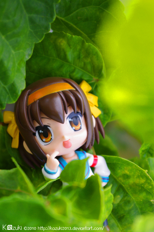 Haruhi on the leaves