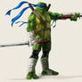 Turtles_Leo