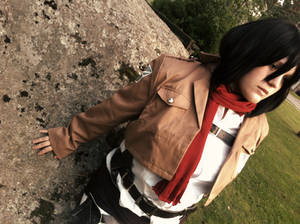 Attack On Titan: Mikasa Ackerman