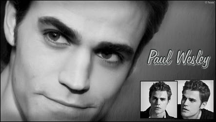 Wallpaper Paul Wesley