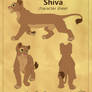 Shiva character sheet