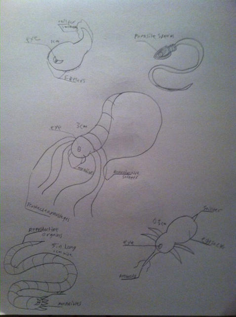 Parasites Tutorial various parasites by ythgiMehtoreZdorL on DeviantArt