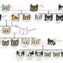 My Irl Cat Family Tree