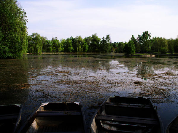 Boats on the lake