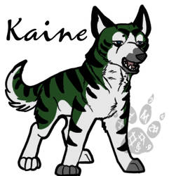 Kaine the Kai Ken