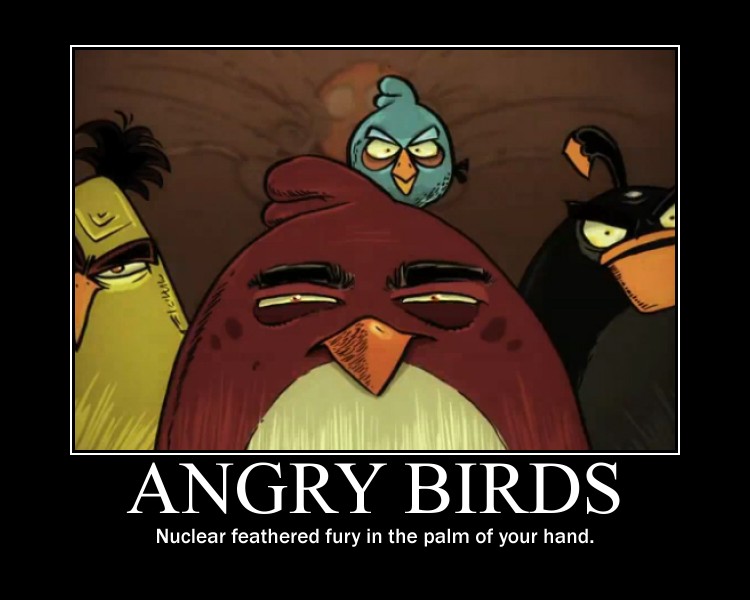 Angry Birds Demotivational