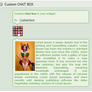 Custom CHAT BOX