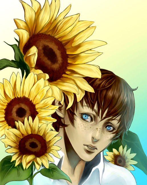 Sunflowers