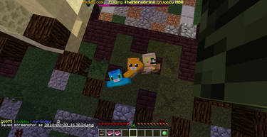 The Hive: TheHerobrine Lobby Selfie