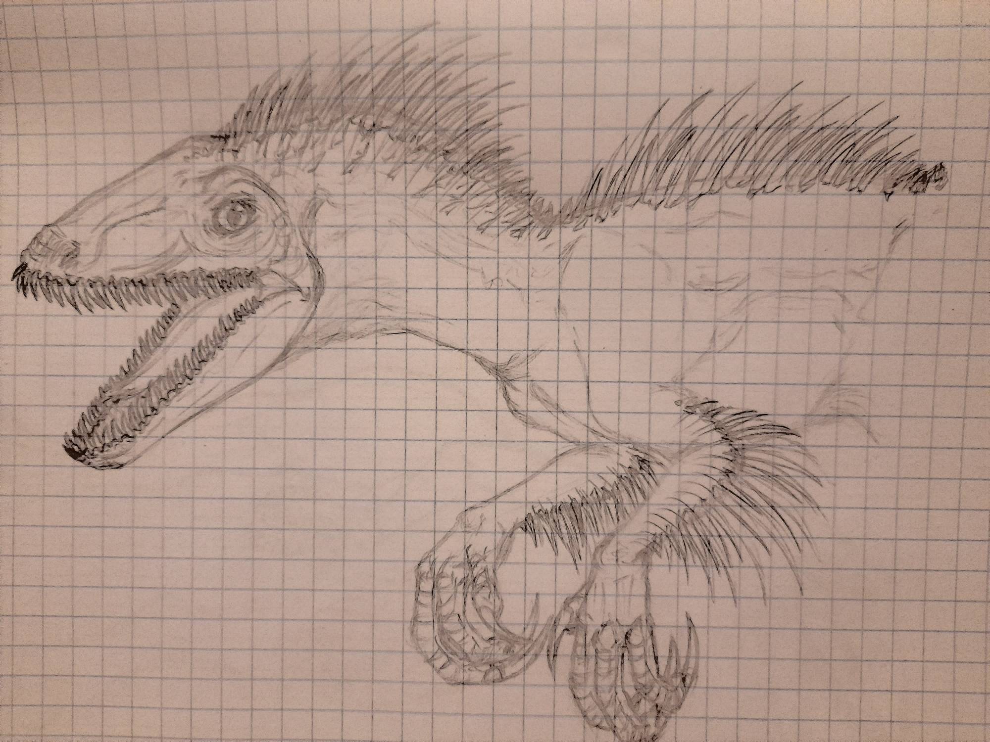 Raptor by 99SIRIUS99 on DeviantArt