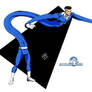Mr. Fantastic