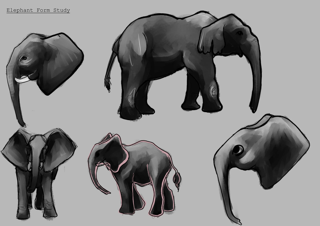 Elephant Form Elephant Form Study by AlbeeSketches on DeviantArt