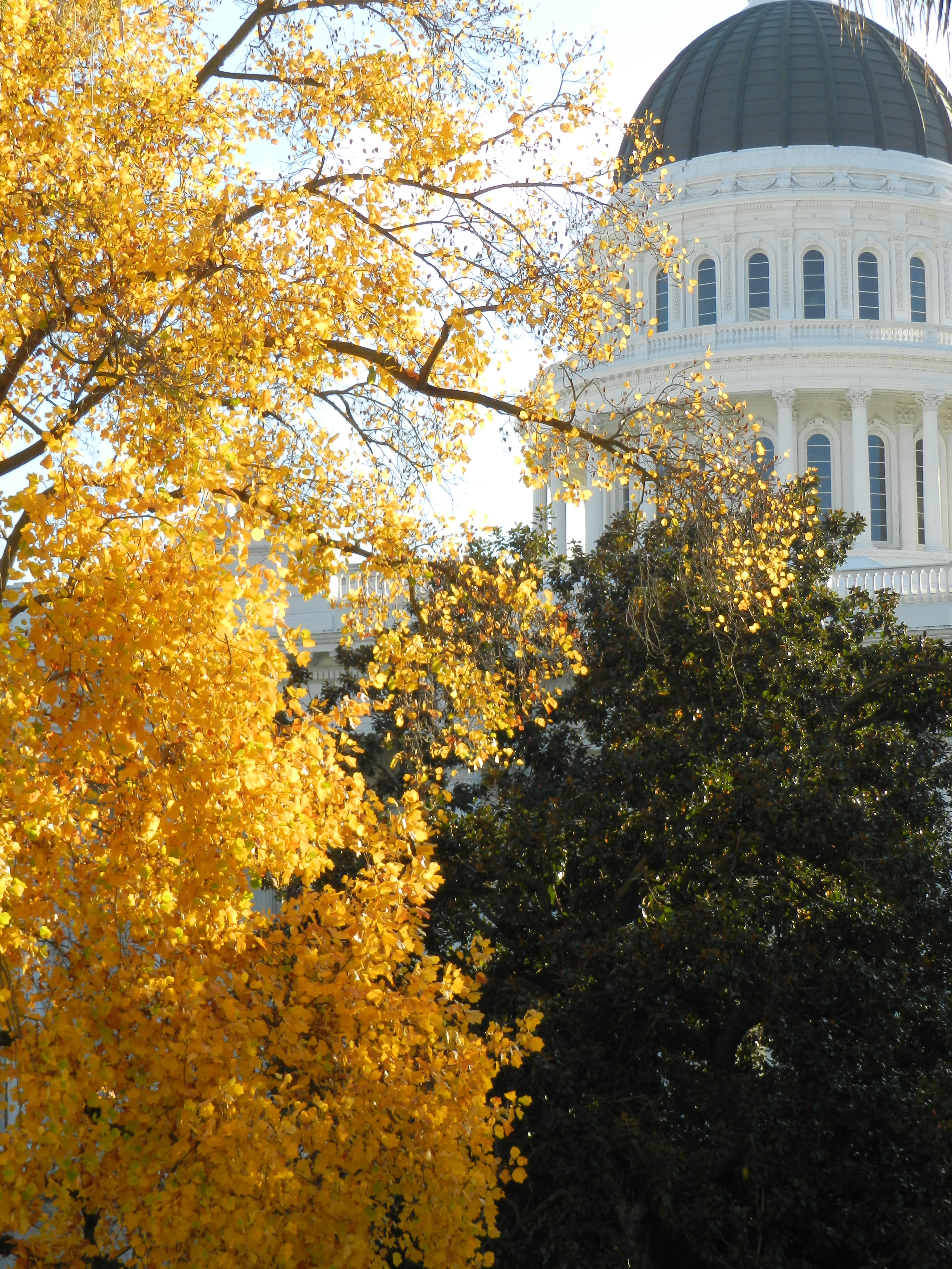 Sacramento Capital  Building