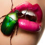 Beetle Beauty