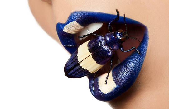 Blue Beetle 1Cargo