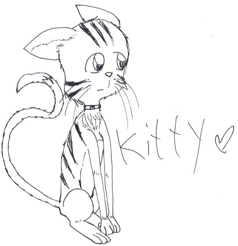 Kitty