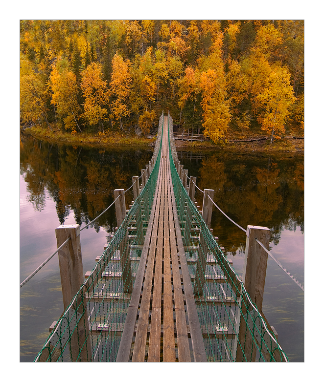 Bridge To Autumn