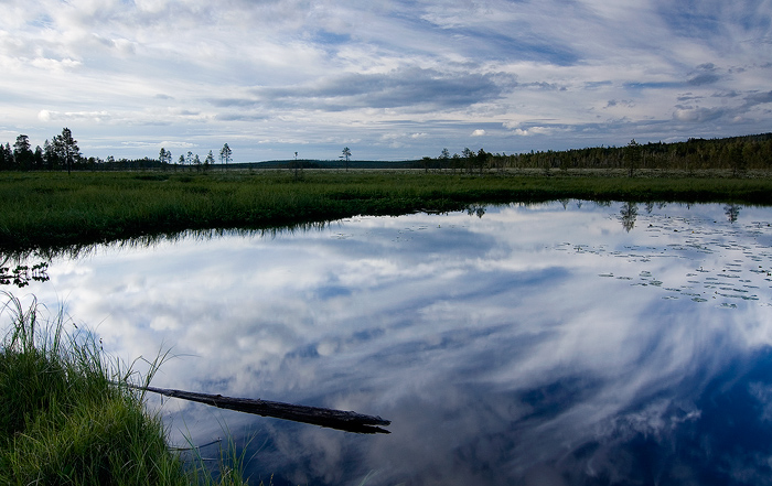 Calm waters