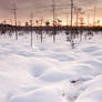 Frozen bog