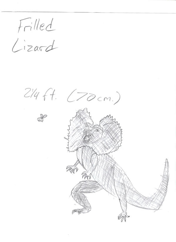 A Frilled Lizard by CapeComicz on DeviantArt