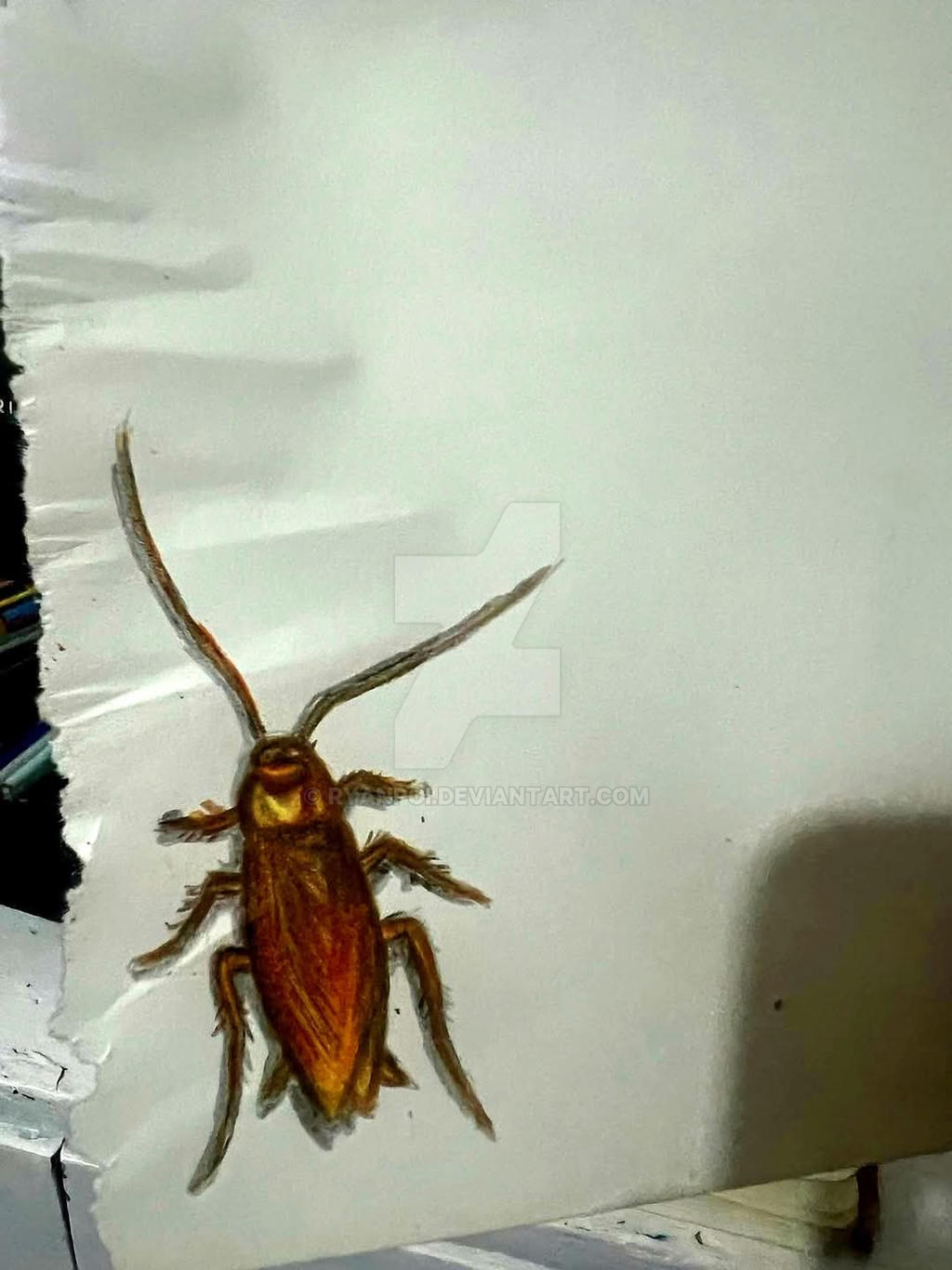 Little Cockroach Pfp Cockroach by ryanpoi on DeviantArt