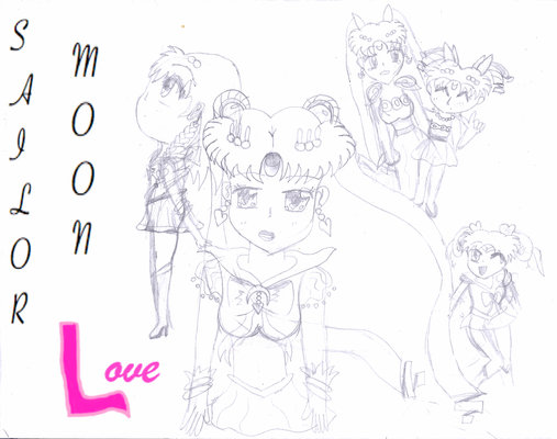 Sailor Moon L cover