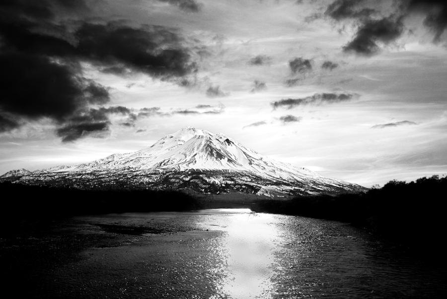 Artistic Shasta Eye Medical Capture for Desktop Artistic Shasta Eye Medical Capture for Desktop