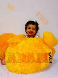 ADAM POOH