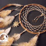 Universe Dream Catcher