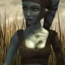 Aayla - Navel