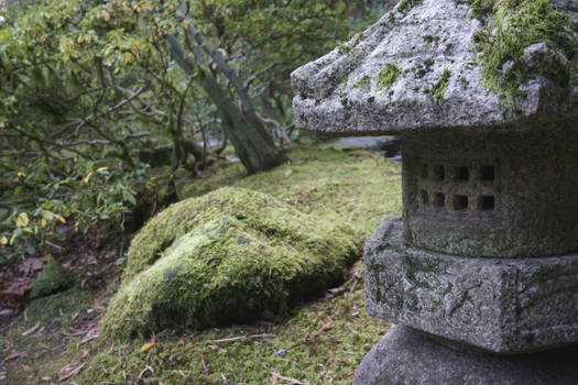 Japanese Garden