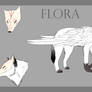Flora ref 2012 - 2013