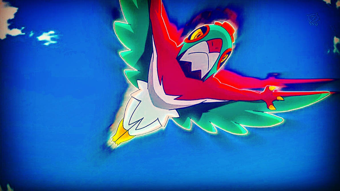 Hawlucha S Flying Press By Pokemonsketchartist On Deviantart Hawlucha S Flying Press By Pokemonsketchartist On Deviantart