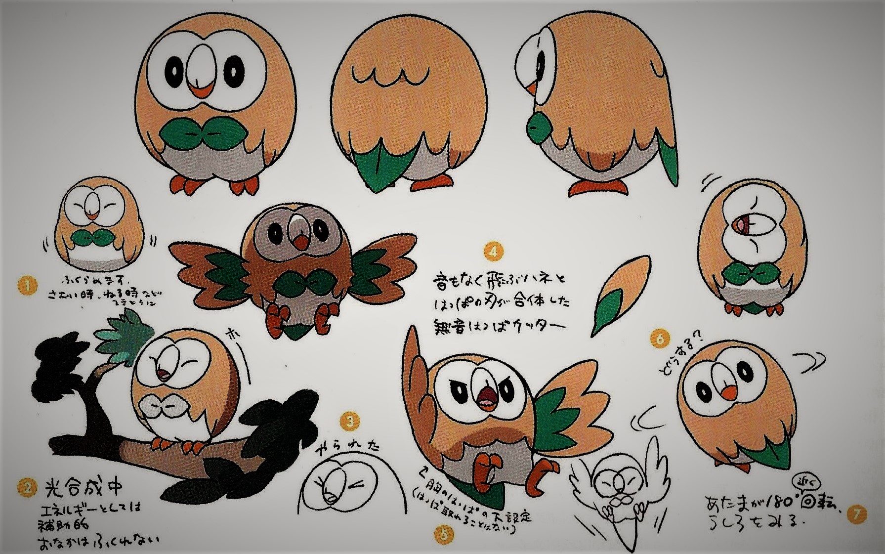 Pokemon Rowlet Robe Rowlet by Pokemonsketchartist on DeviantArt