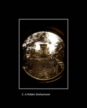 Fotogra: Hidden Gethsemane