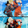 Goku vs Black