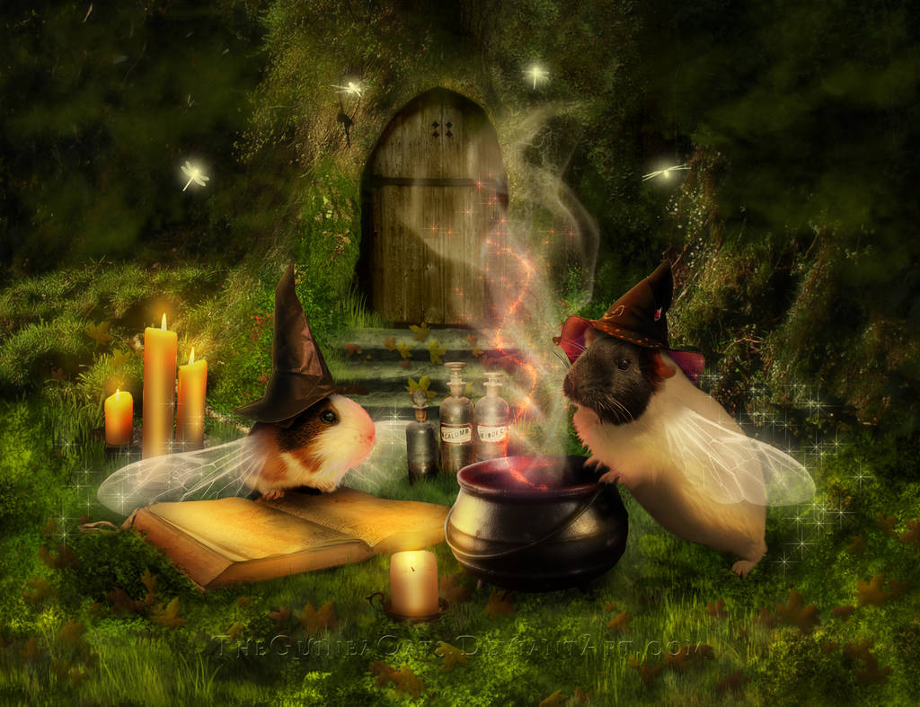 Witch's Brew by theguineacats