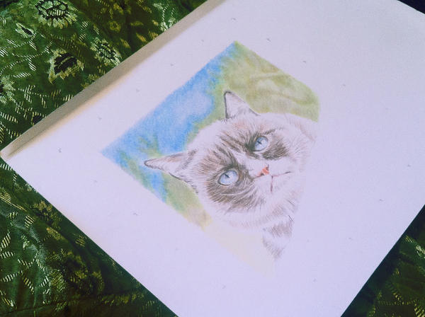 Grumpy Cat - Work in Progress by thewholehorizon on DeviantArt