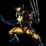 Wolverine