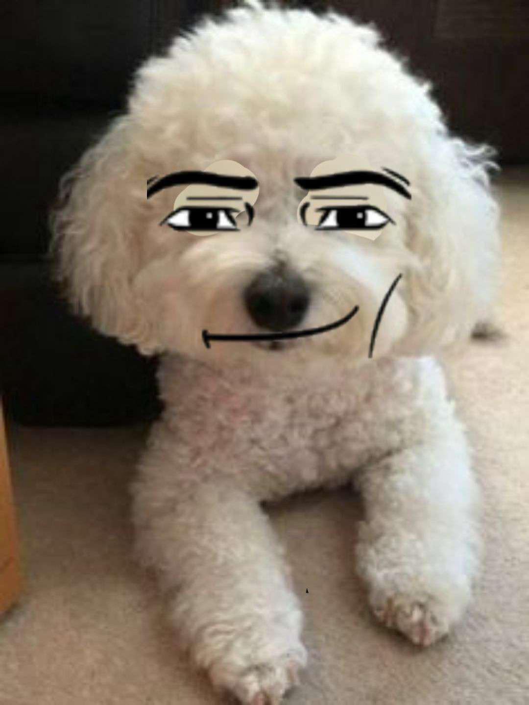 Dog with roblox man face by bandanawaddledee2138 on DeviantArt