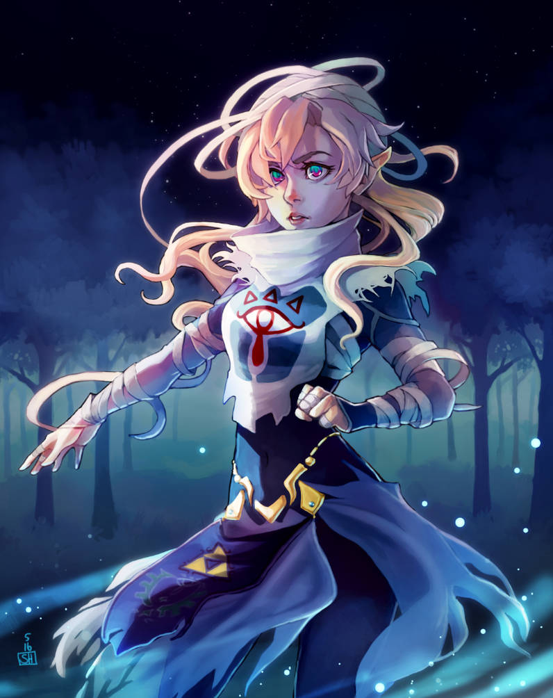 Zelda Transforms 2016 version by Renuski on DeviantArt