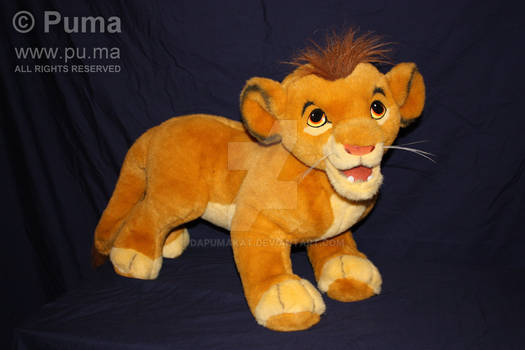 Lion King Cub Simba by Douglas